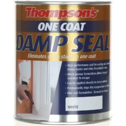 Thompson's One Coat Damp Seal White