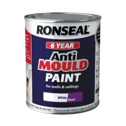 Ronseal 6 Year Anti Mould Paint Matt White
