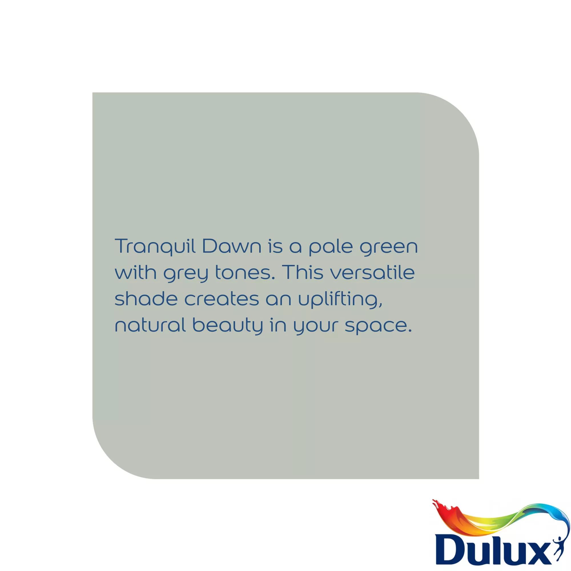 Dulux Easycare Bathroom Tranquil Dawn Soft Sheen Wall Paint, 2.5L 4 Dulux Easycare Bathroom Tranquil Dawn Soft Sheen Wall Paint, 2.5L - Image 4