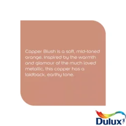 Dulux Easycare Kitchen Copper Blush Matt Wall Paint, 2.5L -Decor Pro Shop dulux easycare kitchen copper blush matt wall paint 2 5l5010212668429 36c bq